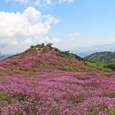 청명화원
