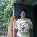 장석례민박 이미지