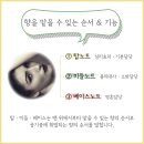 아로마테라피에스테틱 이미지