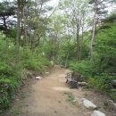 용현자연휴양림 이미지