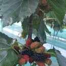 주식회사 오디야 이미지