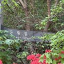 신목동역 2번출구 | 러닝/산책) 서울 양천구 용왕산 완전 정복! 스카이워크 + 작은책쉼터 + 트레킹 코스 후기