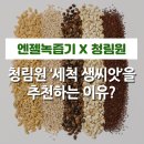 (주)엔젤식품 이미지