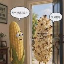 👗👚이번주 업뎃은 한주 쉬어요,주문과 배송은 그대로 합니다 이미지