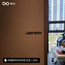 라메종의원 네이버블로그