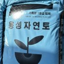 용성자연토 네이버블로그