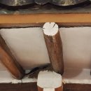 대추밭길60 이미지