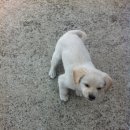 동희식당 이미지