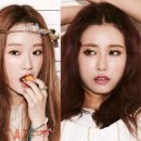 마틸다 카카오 검색결과