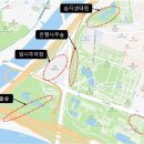 은행나무숲 주차장 부근 티스토리