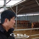 원우축산