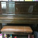 새들피아노 이미지