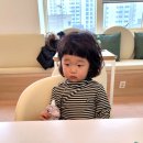 효정숲