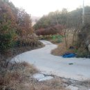 영대농장 이미지