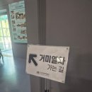 거미 | 문경 에코월드 거미열차 이용후기