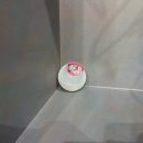 스포츠파크 이미지