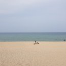 마운틴스테이 이미지