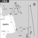 대삼부도