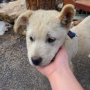 파인넛펜션 이미지