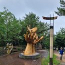 대전둘레산길(5구간) 이미지