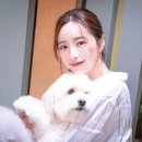 포인핸드 이미지