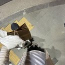 (주)포코오션 | 나트랑