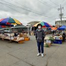 영암5일시장 이미지