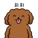 셀라스냅 이미지