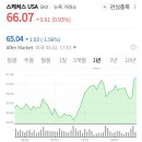 스케쳐스 USA 미국 주식 첫 매매 후기 (운 좋은 16.8% 수익)
