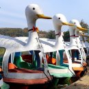 수성유원지(상화동산) | 수성못 대구 가볼만한곳 3월 여행지 추천 수성유원지 오리배 소품샵 명소