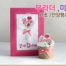 부라더카 이미지