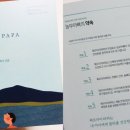 세수파파 네이버블로그