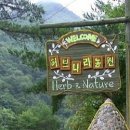허브나라 이미지