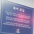 참복집 | 시청역 맛집 북창 참복집 점심 맛집 솔직후기에요