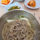 BMW Station | [5/7~5/8] 1박2일 1살 아기랑 정선여행