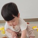 도훈농장 Daum카페