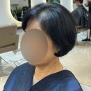 [후기] 정성스러운 커트맛집 디탐헤어 성균관대역점