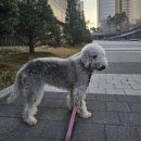 운정 멍발소 이미지