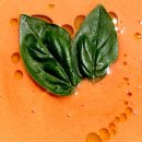 웃음을 잃지 마세요 이미지