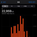 (24.11.23~24.11.28) 4박6일 시드니여행 5일차
