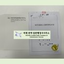 비채 번역일반행정사사무소 네이버블로그