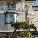 정동진백악관 이미지