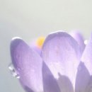 햇빛전자 이미지