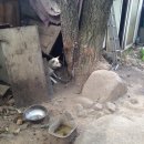 키우소농장 이미지