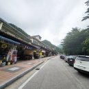 무릉계곡 진입로 이미지