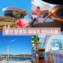 울산 장생포 미디어 아트 웨일즈 판타지움 오션뷰 아나카페