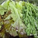 푸른촌 이미지
