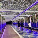 은하수별빛 이미지