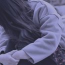 시디