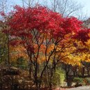 인천심곡초등학교 이미지